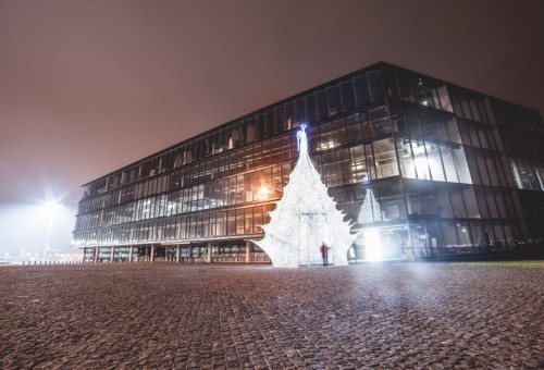 Prie „Žalgirio“ arenos įžiebta pirmoji Kalėdų eglė Kaune